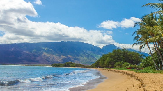 A beautiful sandy beach and tropical blue waters on the island of Maui.