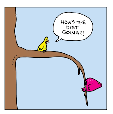 A little yellow bird sits on a branch and asks a a round pink bird, "How's the diet going?!" The part of the branch the pink bird sits on is weighed down by the heavy bird.