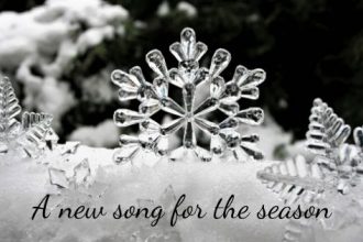 black and white photo of snowflakes of clear ice upright in the snow