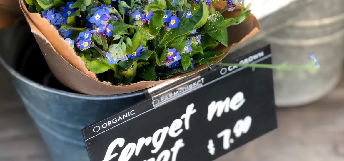 a basket of forget-me-not flowers in a tin bucket with a sign showing they are for sale