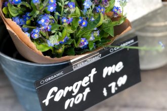 a basket of forget-me-not flowers in a tin bucket with a sign showing they are for sale