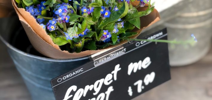 a basket of forget-me-not flowers in a tin bucket with a sign showing they are for sale